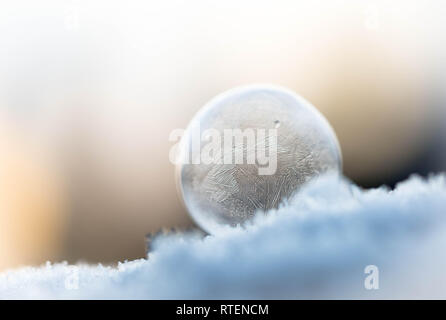 Frozen soap bubbles in the winter light Stock Photo