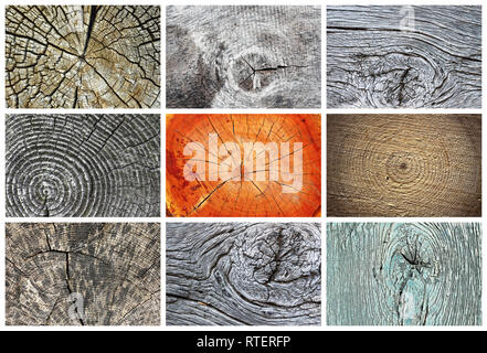 collection of knotty wood textures ready for your design Stock Photo