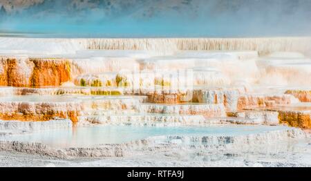 Sinter terraces with calcareous tuff deposits, hot springs, colorful mineral deposits, Palette Springs, Lower Terraces Stock Photo