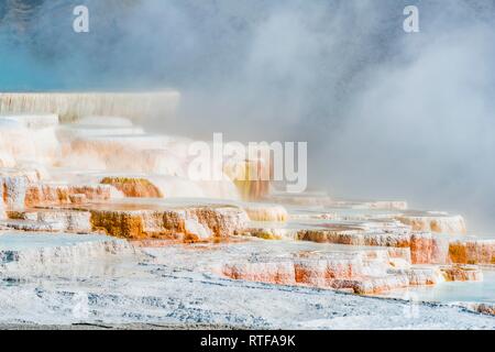 Sinter terraces with calcareous tuff deposits, hot springs, colorful mineral deposits, Palette Springs, Lower Terraces Stock Photo