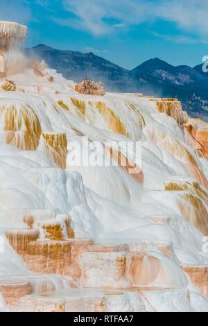 Sinter terraces with calcareous tuff deposits, hot springs, colorful mineral deposits, Palette Springs, Lower Terraces Stock Photo