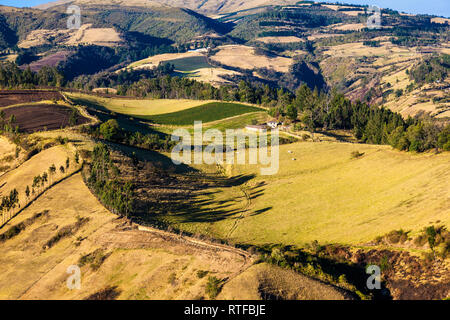 Andean landscape in the morning with golden and orange tones showing its arable hillsides and forests planted Stock Photo