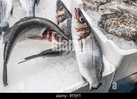 Medterranean fish exposed at open seamarket, Naples Stock Photo