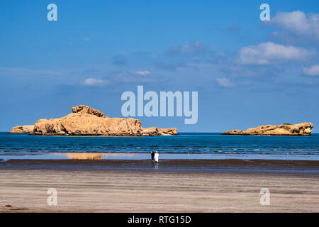 Sultanat of Oman, governorate of Al-Batina, Suwadi al Batha beach Stock Photo