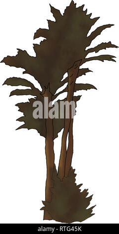 Tree kind from middle east zone Stock Photo