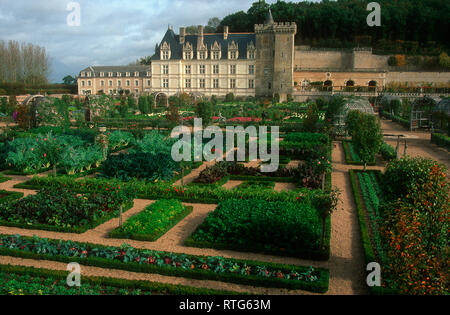 Castle and gardens of Villandry, Indre et Loire, Centre Val de Loire, France, Europe Stock Photo