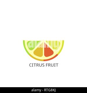 Citrus. Lime, lemon, orange and grapefruit slices Vector illustration Stock Vector