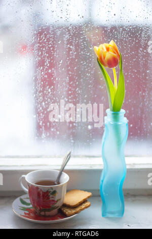 Vase with tulips. Several vases with tulips. Bright spring card. Women's Day. March. Gift to the girl. Vase with tulips by the window Stock Photo