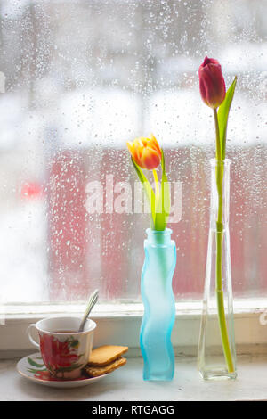 Vase with tulips. Several vases with tulips. Bright spring card. Women's Day. March. Gift to the girl. Vase with tulips by the window Stock Photo