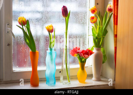 Vase with tulips. Several vases with tulips. Bright spring card. Women's Day. March. Gift to the girl. Vase with tulips by the window Stock Photo