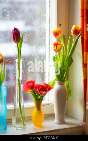 Vase with tulips. Several vases with tulips. Bright spring card. Women's Day. March. Gift to the girl. Vase with tulips by the window Stock Photo