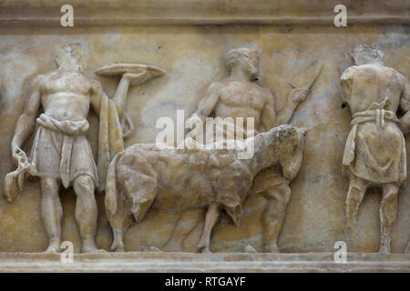 Rome. Italy. The Ara Pacis Augustae, 13-9 BCE, Ara Pacis Museum. Detail of interior decoration relief showing a procession of priests leading animals  Stock Photo