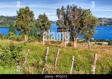 Sea of Chiloe coast, Quinchao, Chiloe island, Los Lagos region, Chile Stock Photo