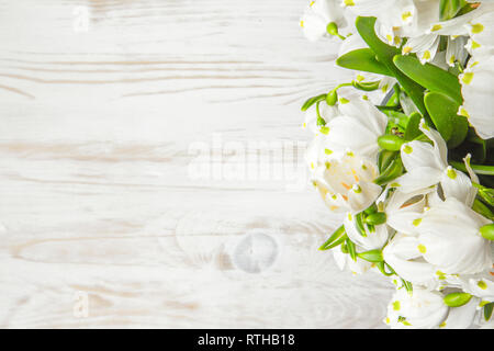Fresh snowdrops on white wood background with place for text Stock Photo