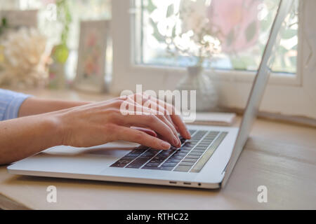 Working at home with laptop woman writing a blog. Female hands on the keyboard. Close up Stock Photo