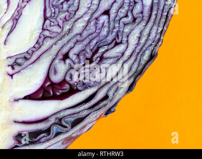 Macro revealing the swirling details in a slice of purple cabbage on an orange background. Stock Photo