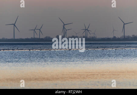 Wilhelmshaven, on the south beach, Jadebusen, bay, Friesland, Frisia Germany, wind farm, Stock Photo