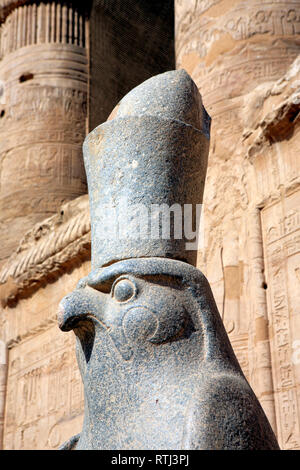 Statue of Horus, Horus temple (3rd century BC), Edfu, Egypt Stock Photo