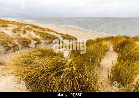 North Sea island Langeoog, East Frisia , Lower Saxony, dune landscape, Germany Stock Photo