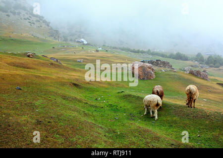 Kizilsu glacier park, Oytagh valley, Kizilsu Prefecture, Xinjiang Uyghur Autonomous Region, China Stock Photo