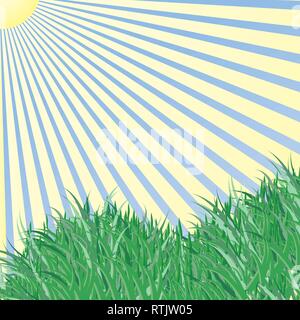Grass under the blue sky and sun rays vector background Stock Vector