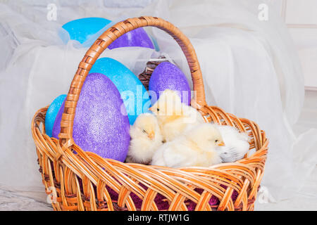 Easter chickens and toy eggs in a large wicker basket Stock Photo