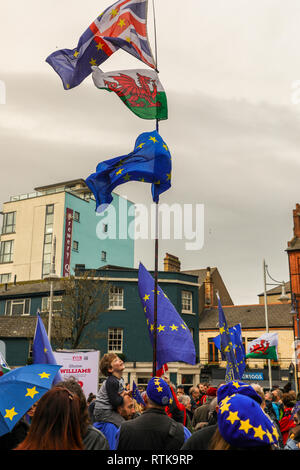 Cardiff, Wales, UK. 2nd March, 2019. People's Vote and anti-Brexit demonstration in Cardiff. Credit: Haydn Denman/Alamy Live News. Stock Photo