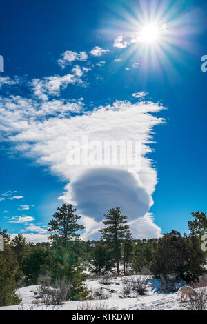 Lenticular cloud formations against cobalt blue sky; central Colorado; USA Stock Photo