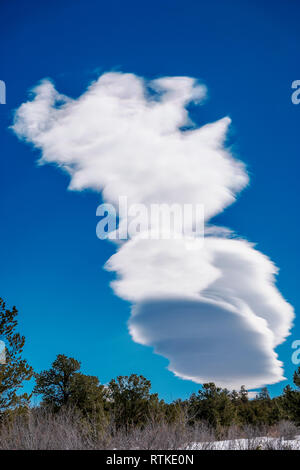 Lenticular cloud formations against cobalt blue sky; central Colorado; USA Stock Photo