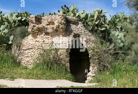 closeup of a byzantine era cistern in the western negev in israel surrounded by sabra cactus, wildflowers and grasses Stock Photo