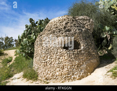 closeup of a byzantine era cistern in the western negev in israel surrounded by sabra cactus, wildflowers and grasses Stock Photo