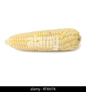 Boiled waxy corn isolated on a white background. Stock Photo