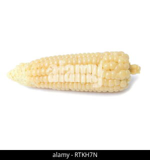 Boiled waxy corn isolated on a white background. Stock Photo