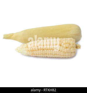 Boiled waxy corn isolated on a white background. Stock Photo