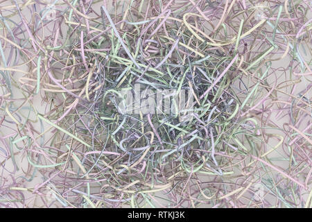 Messy Texture Renders CGI composition, messy strings virtual backdrop, for design texture or ...