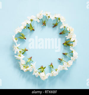 Spring blossom in a circle on blue background Stock Photo