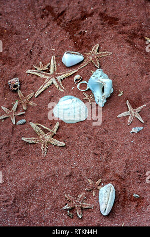 Starfish and seashells lying on the red  Rabida Island beach, Galapagos Islands, Ecuador Stock Photo