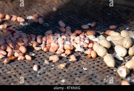 raw peeled peanuts on old bamboo basket Stock Photo
