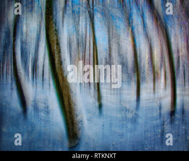 ABSTRACT ART: Winter Wonderland Stock Photo