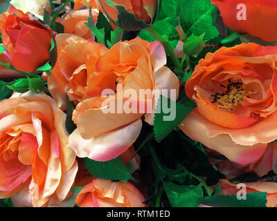 Spring scenes of begonia blooming flowers in the garden, abstract green nature background Stock Photo