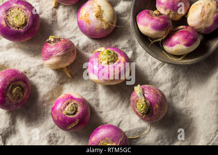 Raw Organic Purple Turnips Ready to Cook Stock Photo