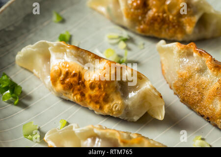 Gyoza (ravioli Japonais)