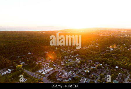 aerial view of suburban houses near forest Stock Photo