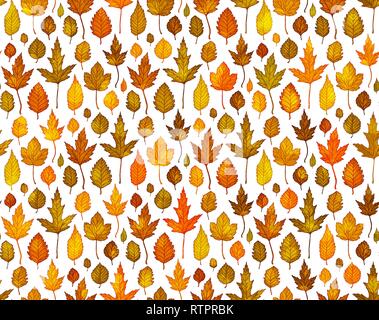 Autumn leaves seamless pattern background vector Stock Vector