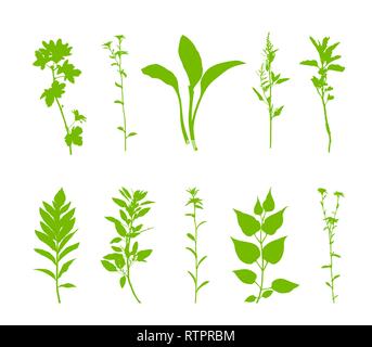 Green plants silhouette set isolated on white background. Vector illustration Stock Vector