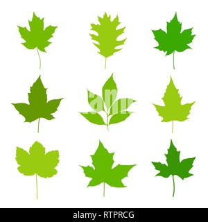 Green leaves silhouettes set isolated on white background. Vector illustration Stock Vector