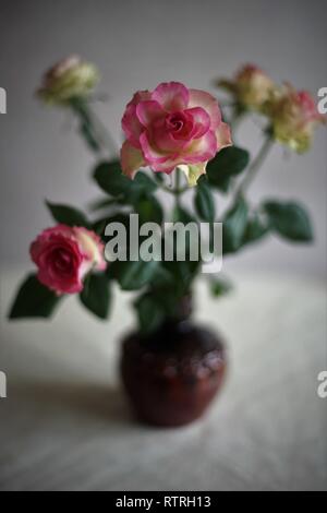 Bouquet of five pink yellow roses in a vase on a table Stock Photo