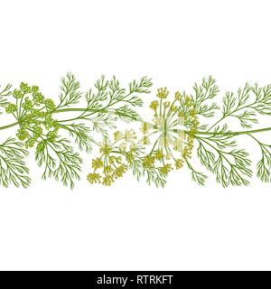 dill vector pattern on white background Stock Vector