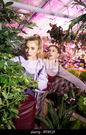 Nice attractive woman standing behind a plant Stock Photo