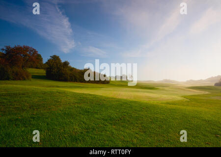 On the golf course in the morning mist. Stock Photo